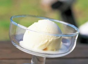 清泉寮有機ジャージー牛乳のアイスクリームセット(120ml×12)